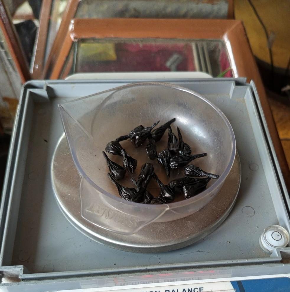 बारामा लागू औषधसहित महिला पक्राउ